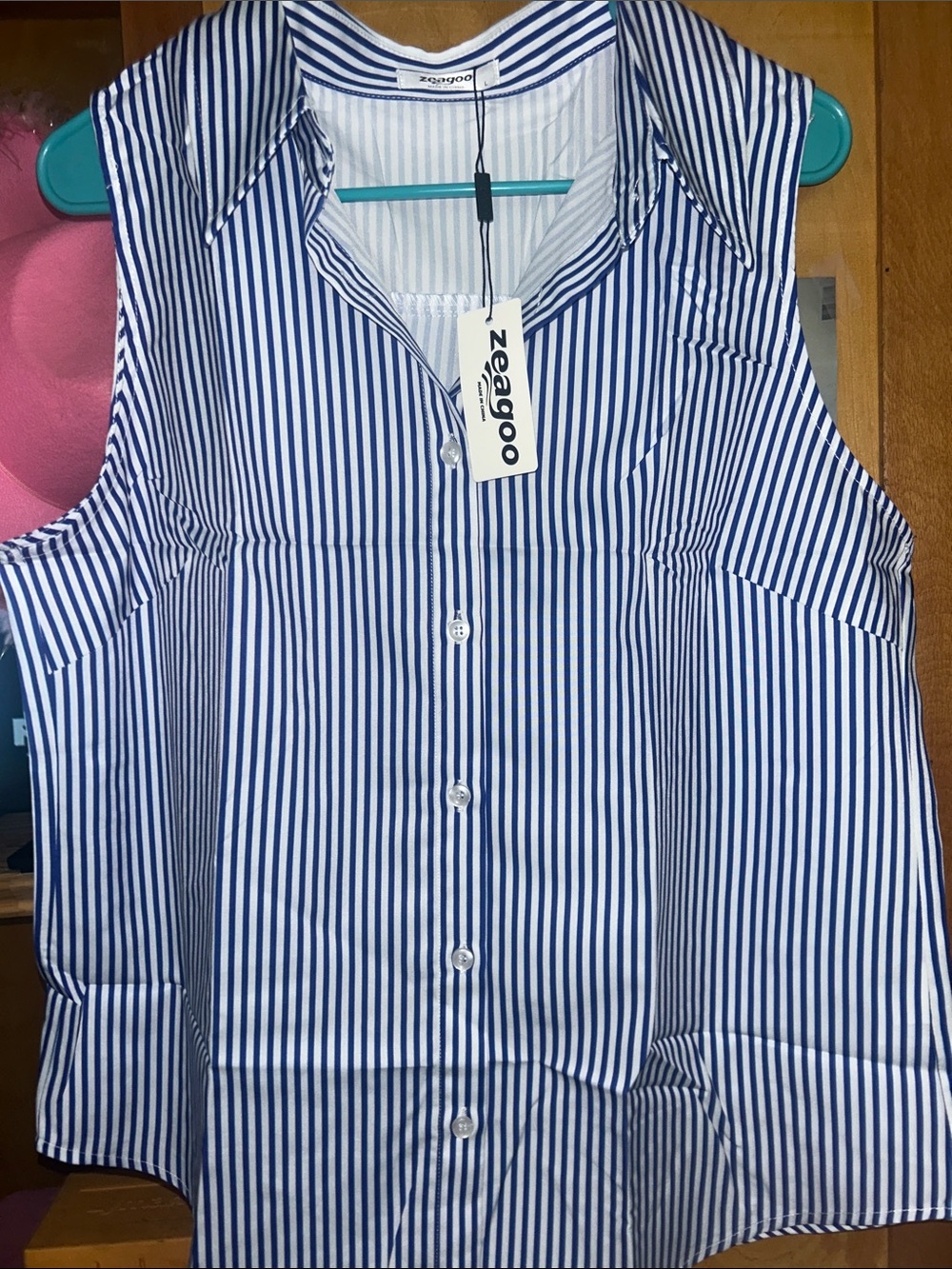 Zeagoo Blue and White Striped Sleeveless Button-Down Top